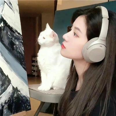 战舰育婴记